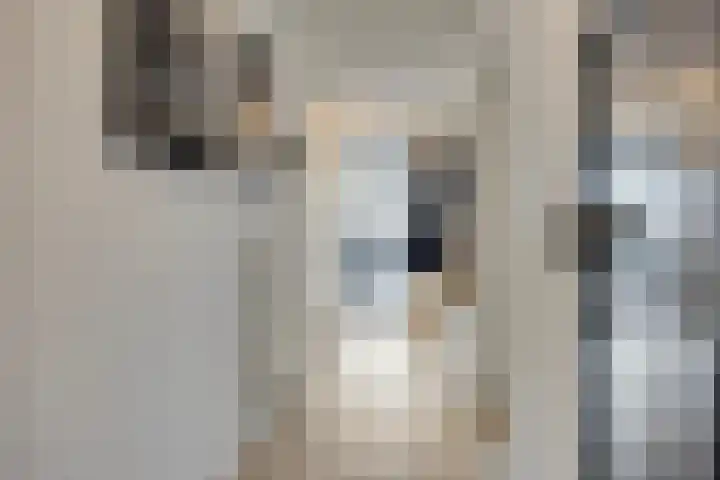 Lokerenpassage 58 's-Hertogenbosch thumbnail 9