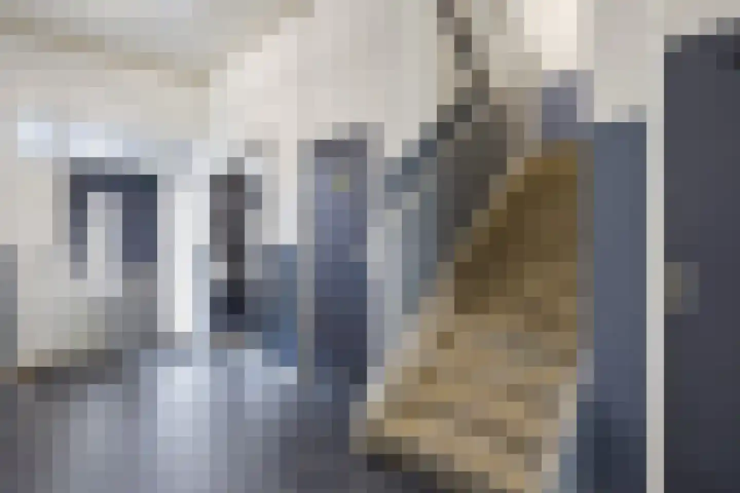 Lokerenpassage 64 's-Hertogenbosch thumbnail 25