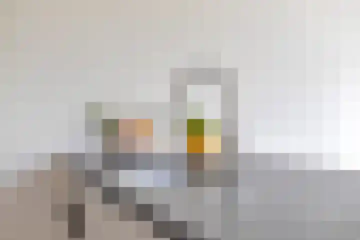 Lokerenpassage 90 's-Hertogenbosch thumbnail 11