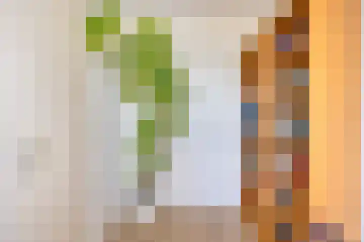 Lokerenpassage 90 's-Hertogenbosch thumbnail 17