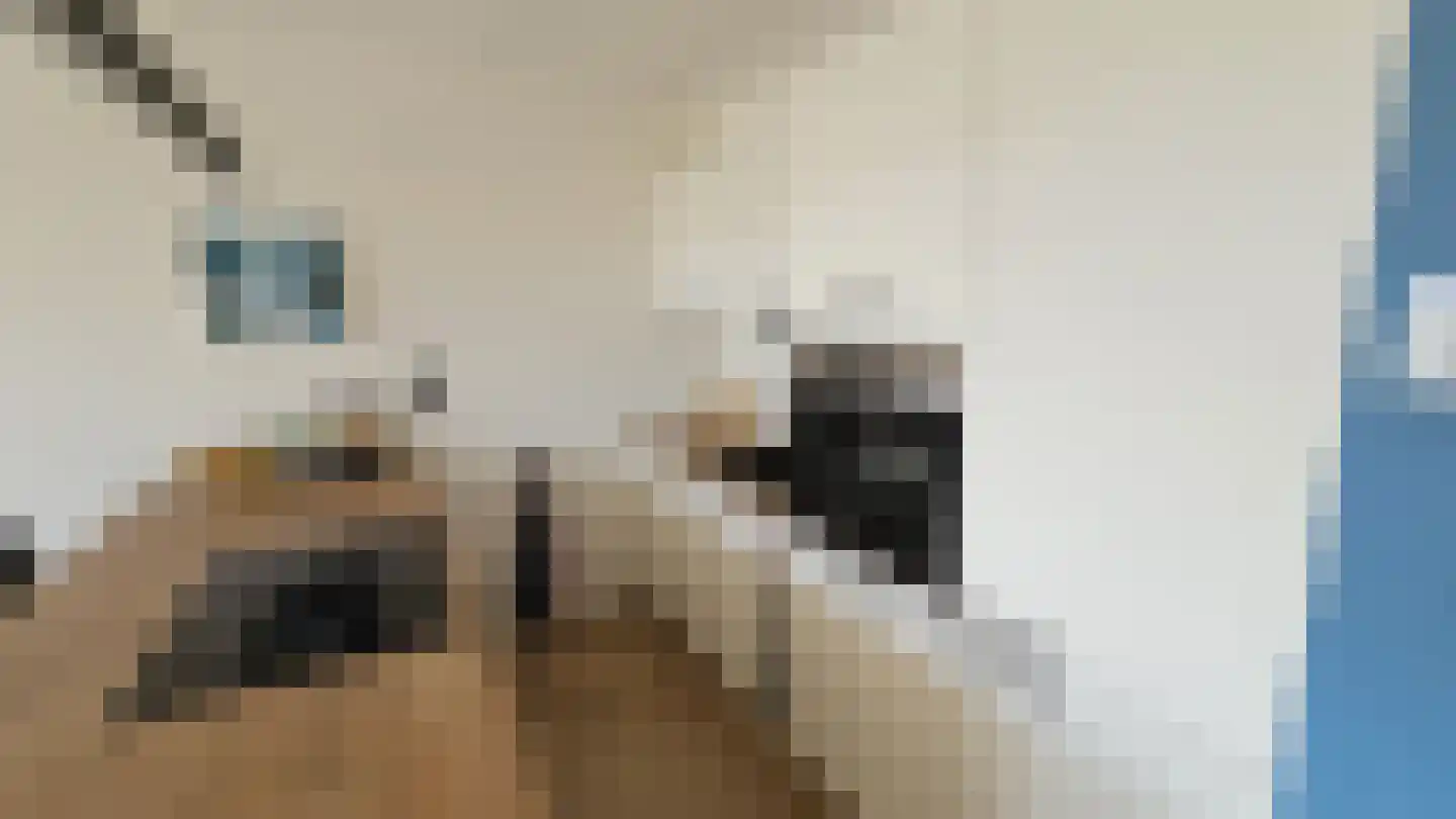 Lokerenpassage 96 's-Hertogenbosch thumbnail 10