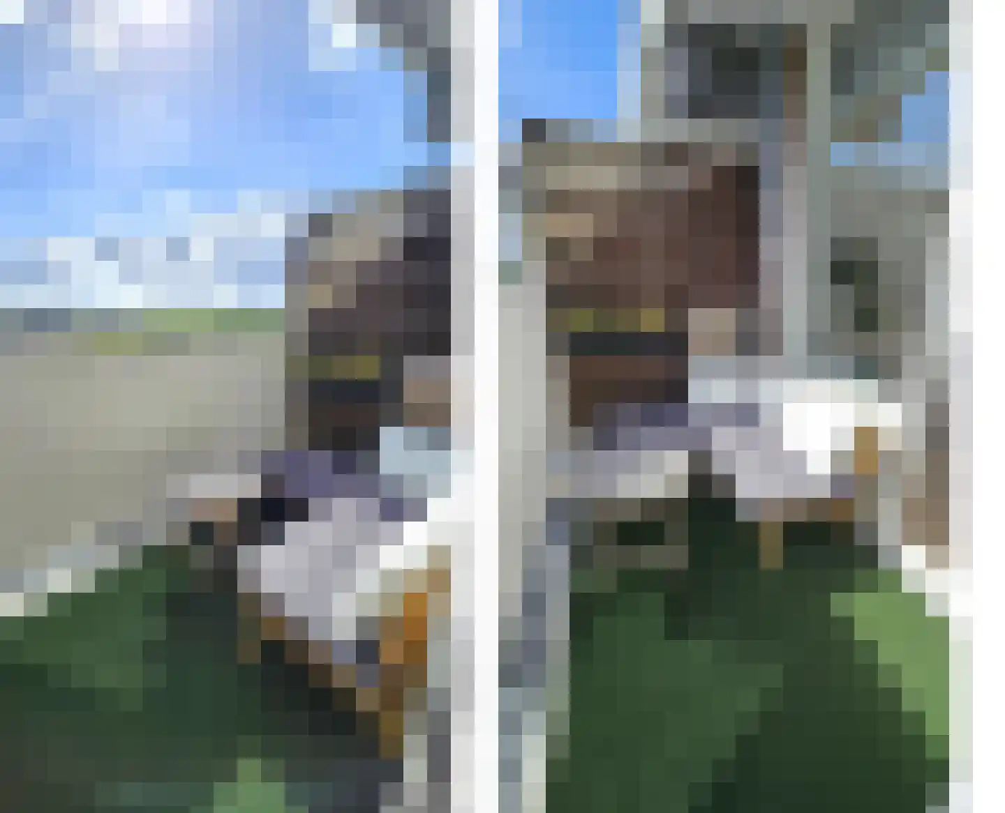 Lokerenpassage 96 's-Hertogenbosch thumbnail 13