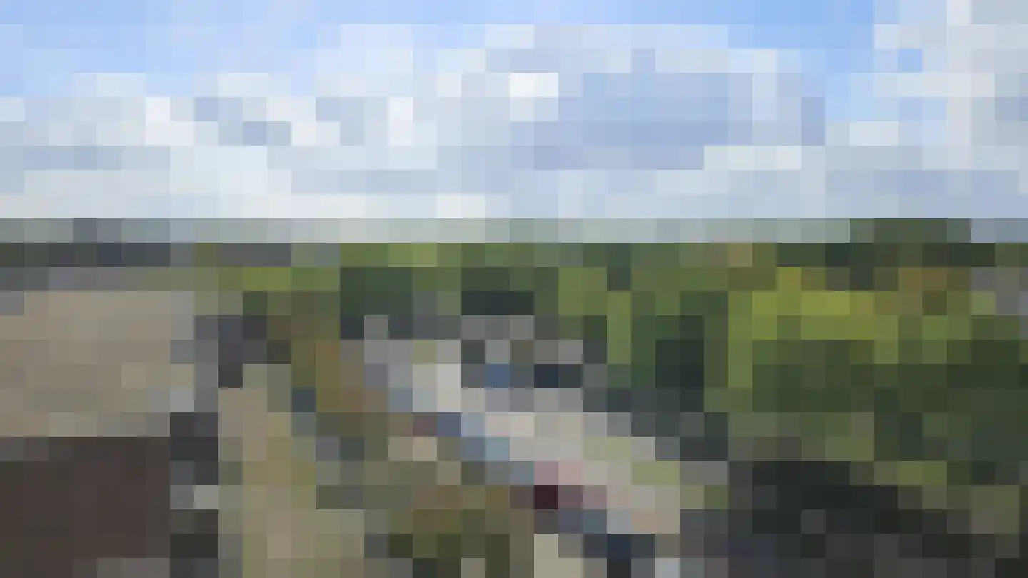 Lokerenpassage 96 's-Hertogenbosch thumbnail 14