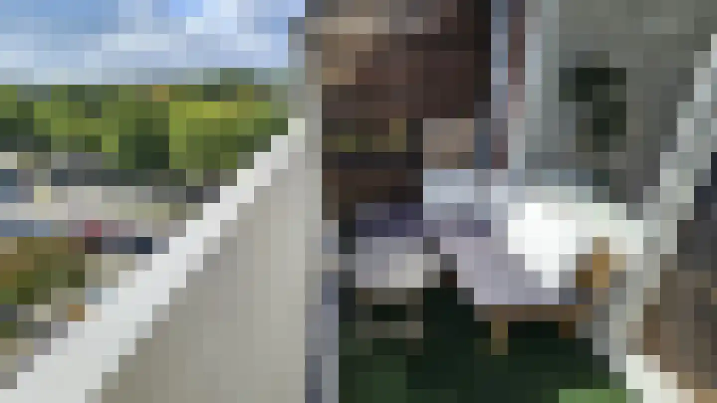 Lokerenpassage 96 's-Hertogenbosch thumbnail 4