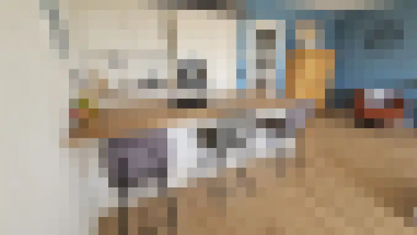 Lokerenpassage 96 's-Hertogenbosch thumbnail 9