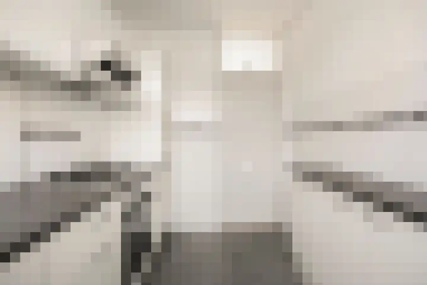 Lokerenstraat 3 Breda thumbnail 12