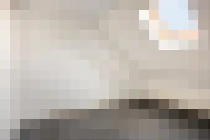 Lokerenstraat 3 Breda thumbnail 22