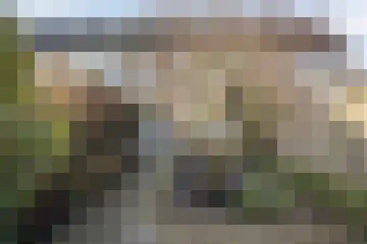 Lokerenstraat 3 Breda thumbnail 27