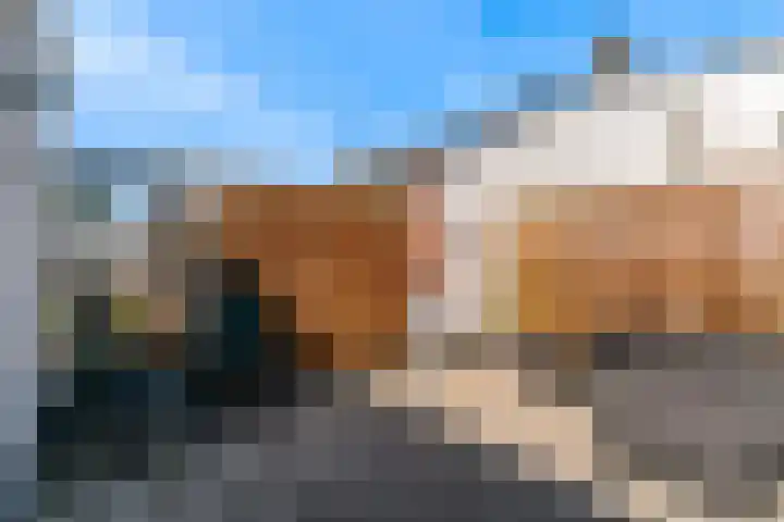 Lokerenstraat 4 Amsterdam thumbnail 7