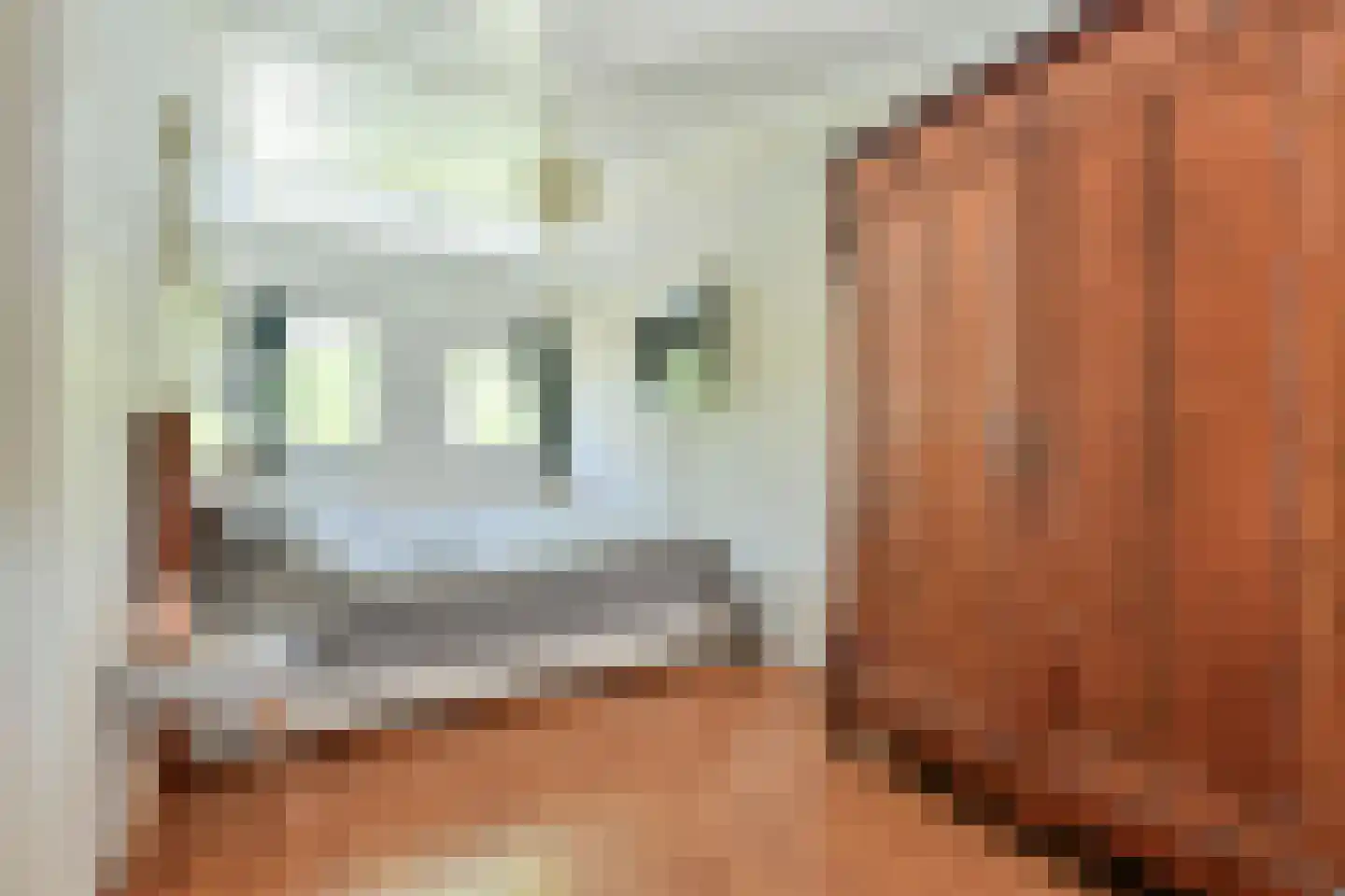 Lokerenstraat 8 Amsterdam thumbnail 18
