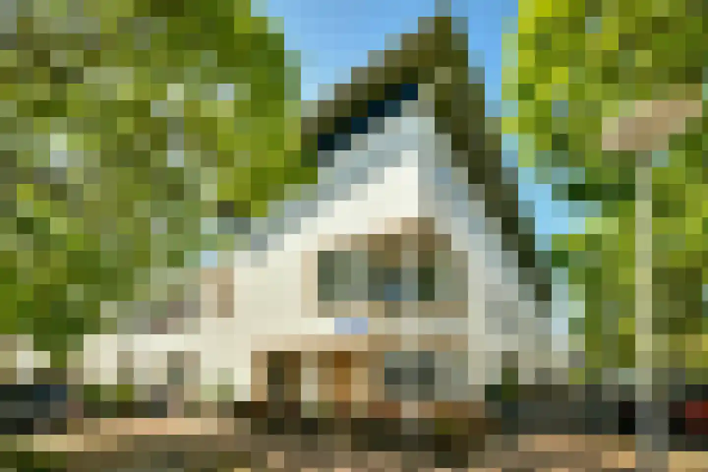 Lokerenstraat 8 Amsterdam thumbnail 22