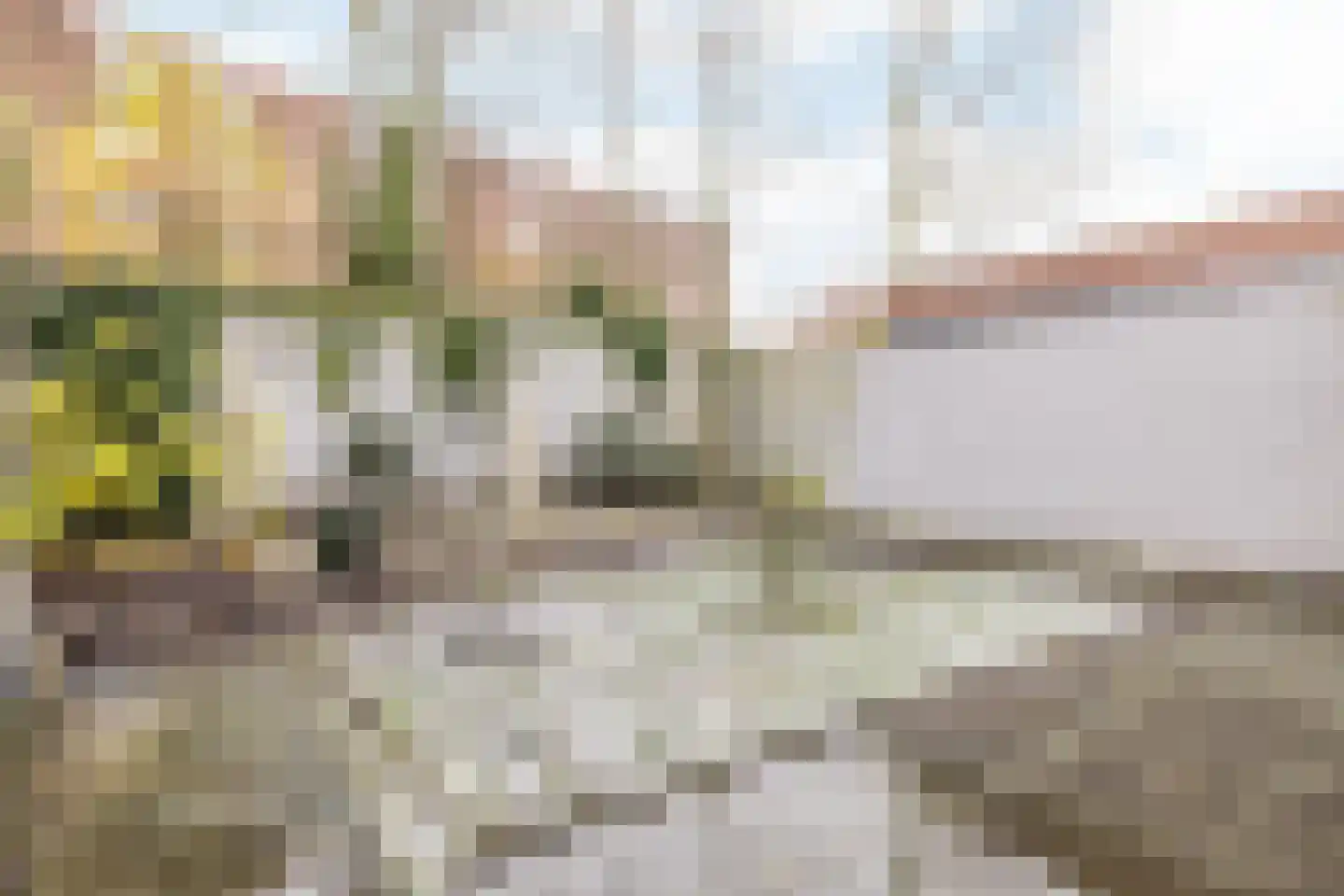 Lokerstraat 16 Heerlen thumbnail 37