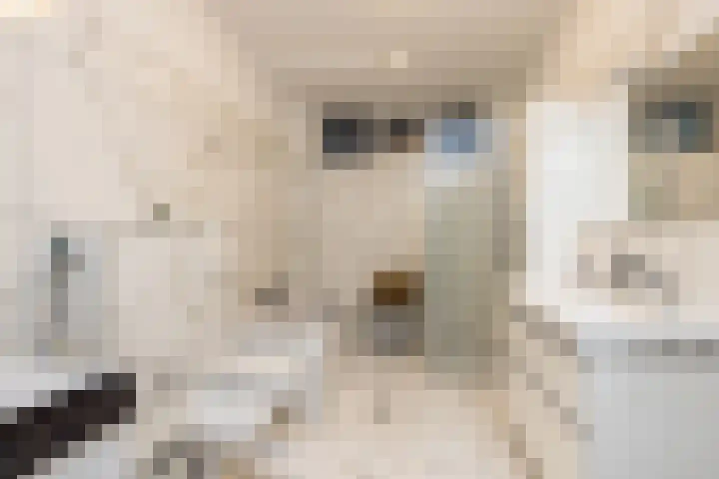 Lokerstraat 16 Heerlen thumbnail 8