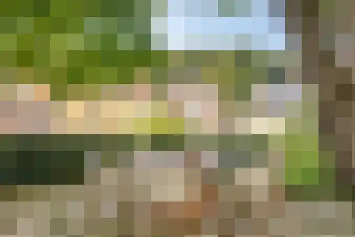 Lokerstraat 22 Valkenburg thumbnail 26