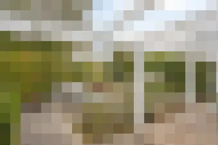 Lokerstraat 22 Valkenburg thumbnail 32