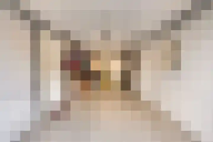 Lokerstraat 22 Valkenburg thumbnail 35