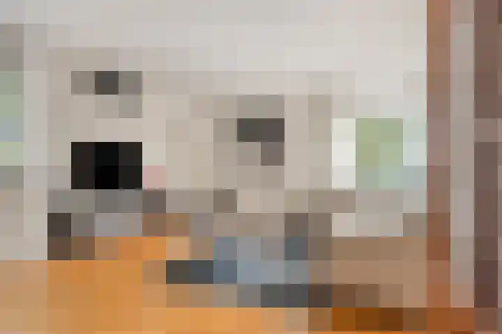 Lokerstraat 22 Valkenburg thumbnail 6