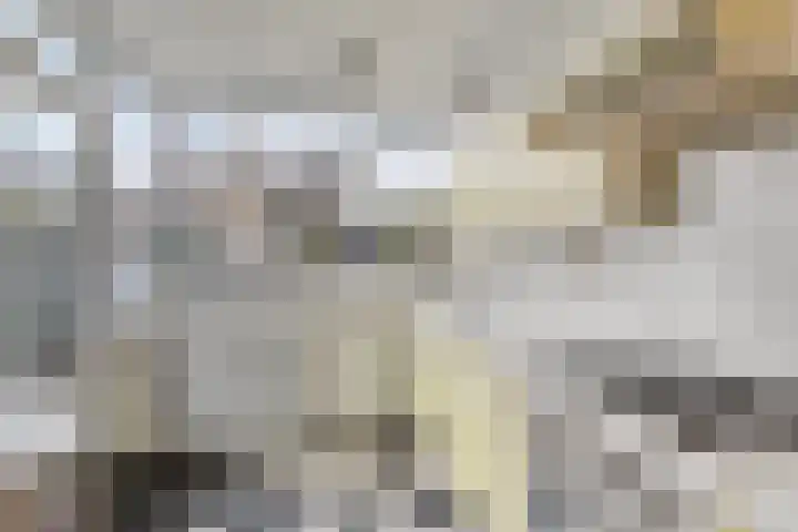 Lokert 25 Eindhoven thumbnail 13