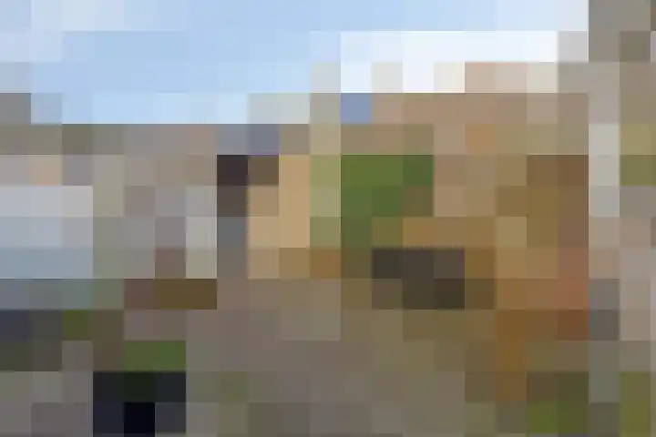 Lokert 25 Eindhoven thumbnail 30