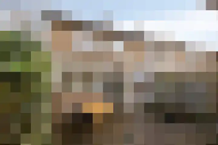 Lokert 25 Eindhoven thumbnail 32