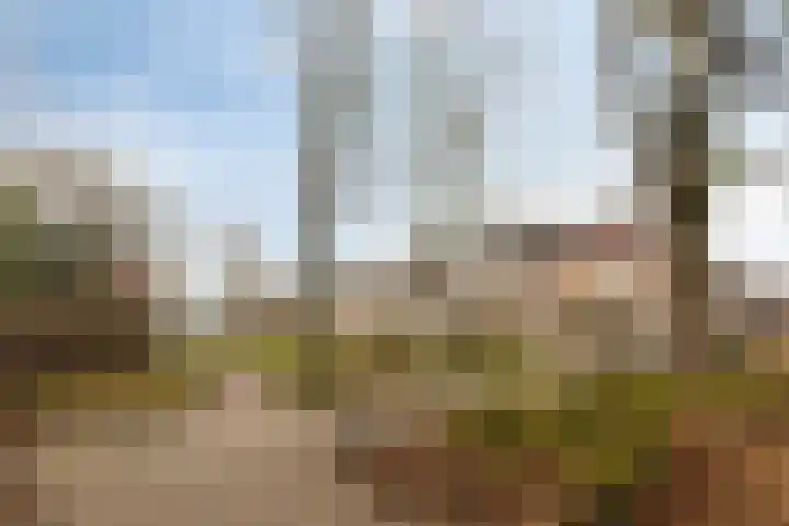 Lokert 25 Eindhoven thumbnail 34