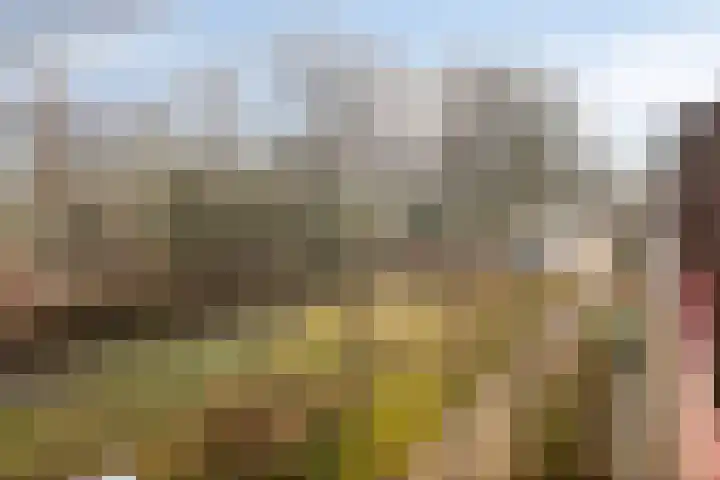 Lokert 25 Eindhoven thumbnail 4