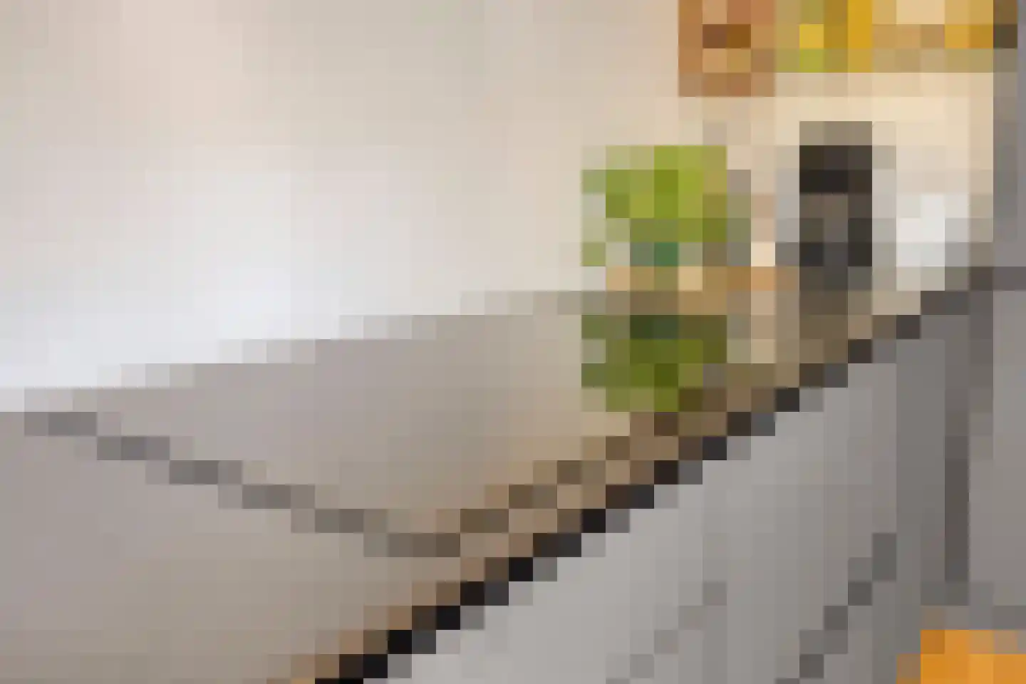Lokert 33 Eindhoven thumbnail 18