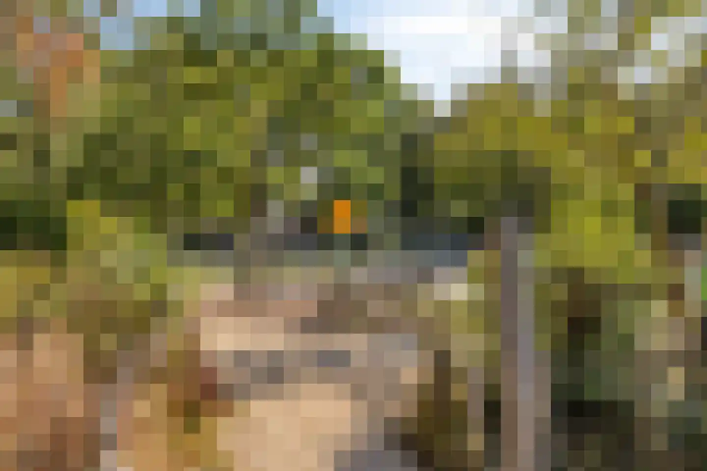 Lokert 33 Eindhoven thumbnail 41