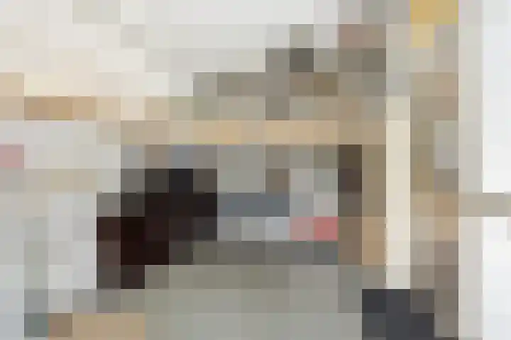 Lokhorst 10 Leiderdorp thumbnail 27