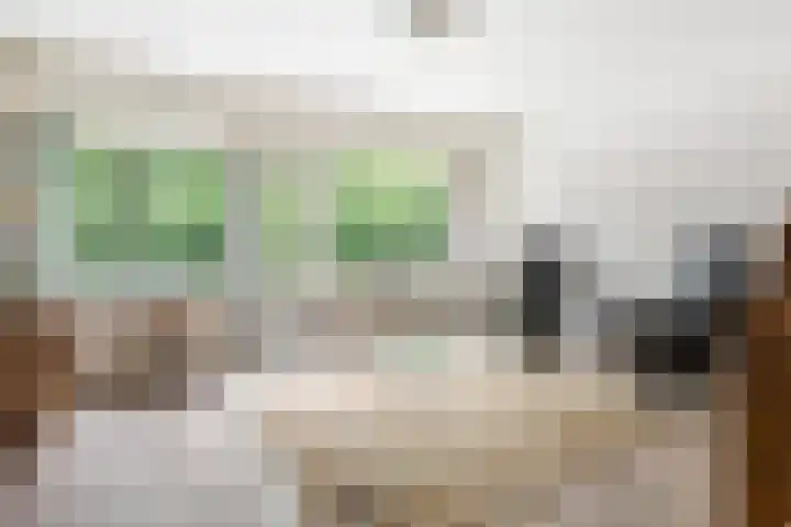 Lokhorst 10 Leiderdorp thumbnail 4