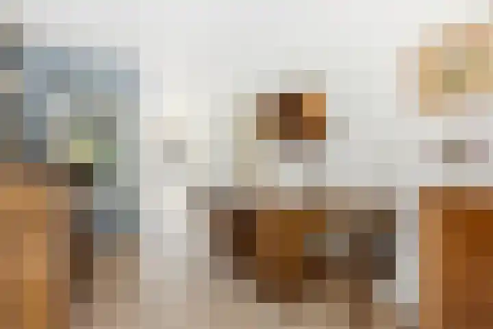 Lokhorst 10 Leiderdorp thumbnail 7