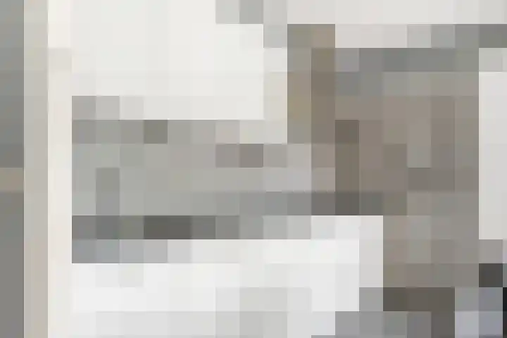 Lokhorst 10 Leiderdorp thumbnail 9