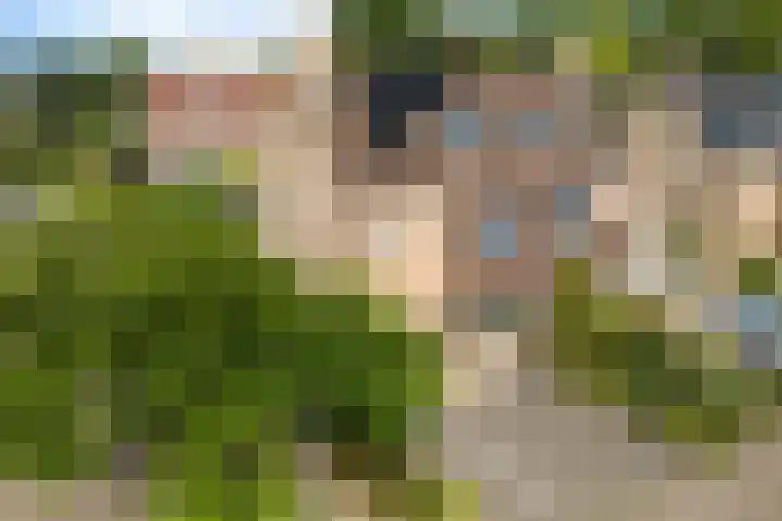 Lokhorst 11 in Alphen aan den Rijn