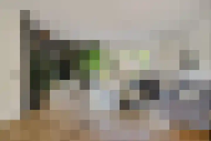 Lokhorst 11 Alphen aan den Rijn thumbnail 11