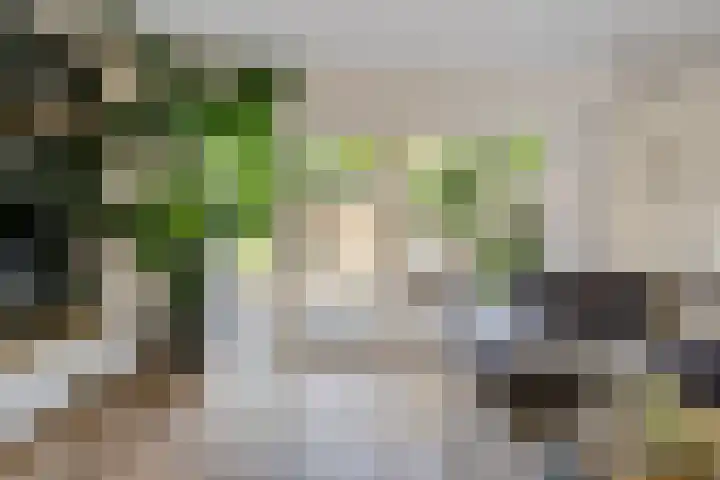 Lokhorst 11 Alphen aan den Rijn thumbnail 12