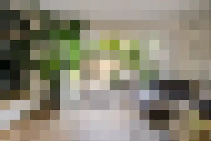 Lokhorst 11 Alphen aan den Rijn thumbnail 13