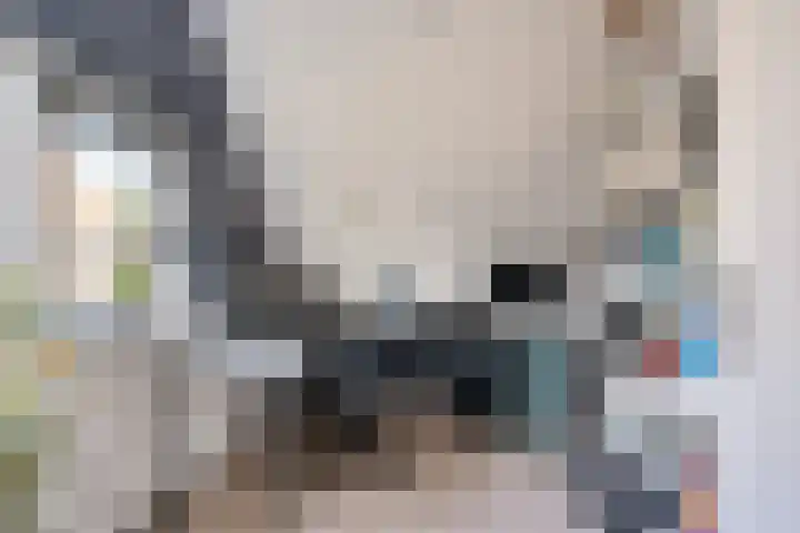 Lokhorst 11 Alphen aan den Rijn thumbnail 21