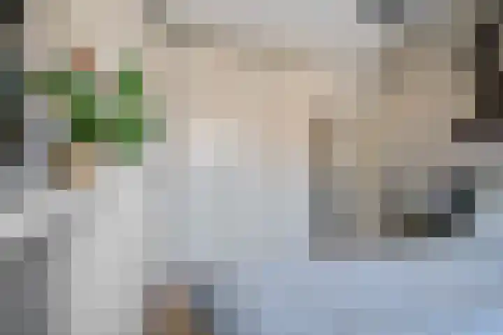 Lokhorst 11 Alphen aan den Rijn thumbnail 23