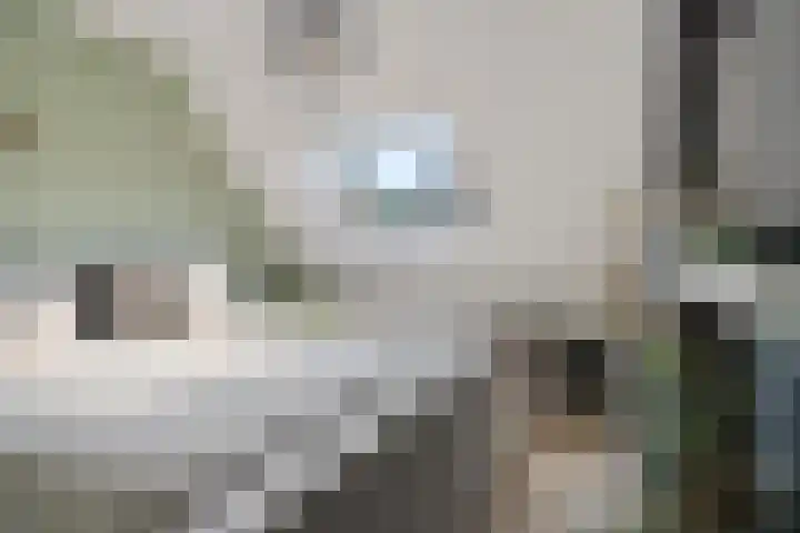 Lokhorst 11 Alphen aan den Rijn thumbnail 25