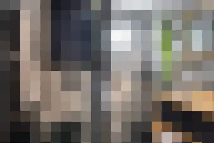 Lokhorst 11 Alphen aan den Rijn thumbnail 27