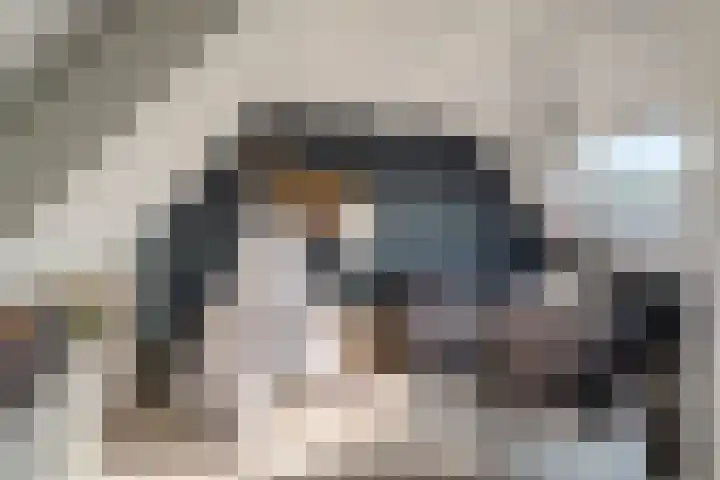 Lokhorst 11 Alphen aan den Rijn thumbnail 30