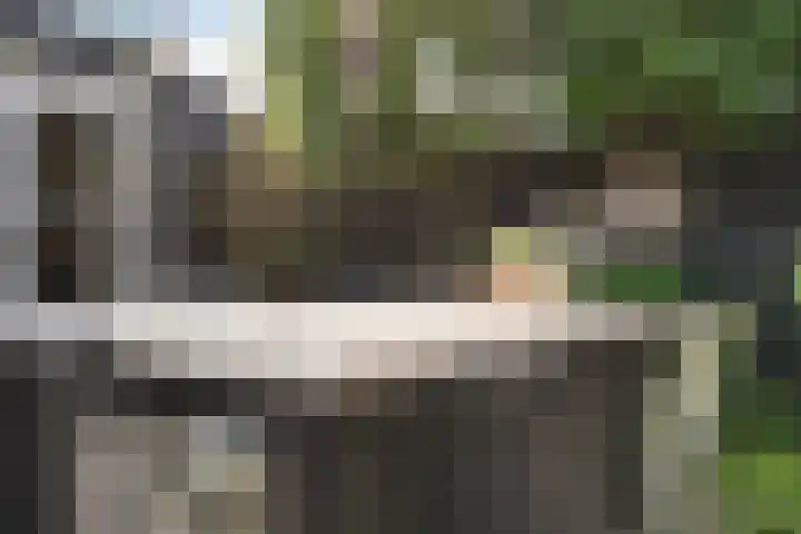 Lokhorst 11 Alphen aan den Rijn thumbnail 36