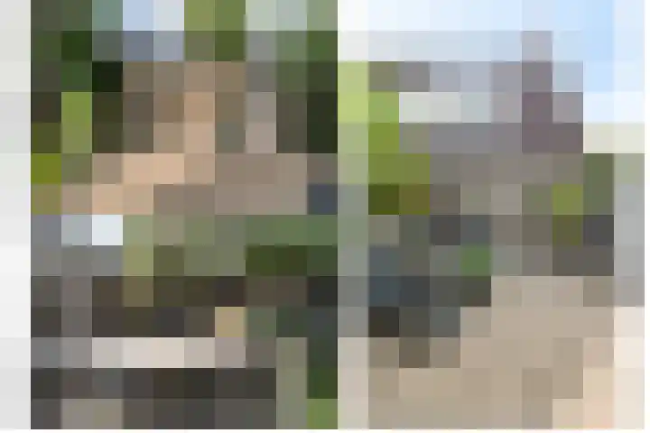 Lokhorst 11 Alphen aan den Rijn thumbnail 39