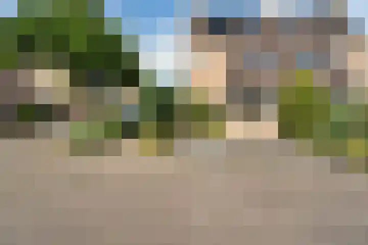 Lokhorst 11 Alphen aan den Rijn thumbnail 4