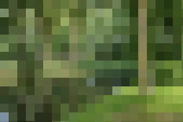 Lokhorst 11 Alphen aan den Rijn thumbnail 40