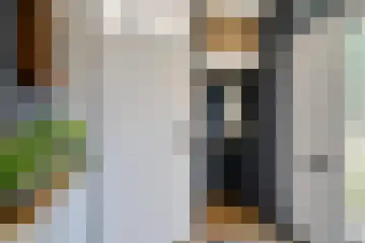 Lokhorst 11 Alphen aan den Rijn thumbnail 6