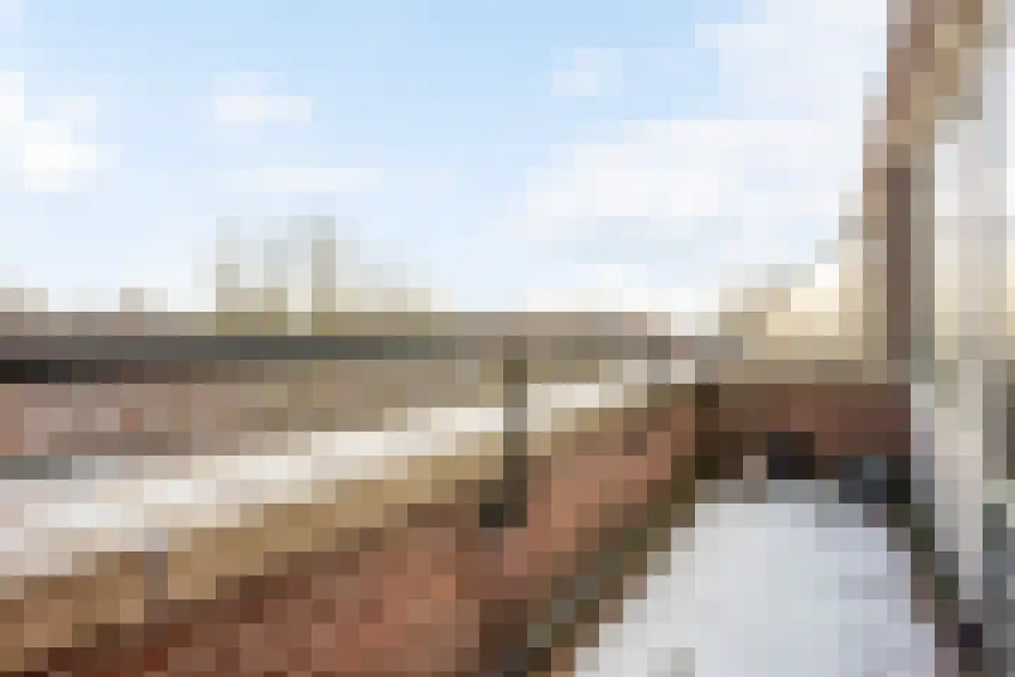 Lokhorst 131 Leiderdorp thumbnail 28