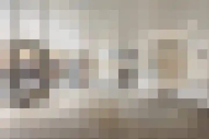 Lokhorst 131 Leiderdorp thumbnail 4