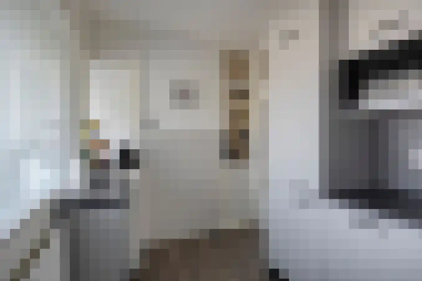 Lokhorst 151 Leiderdorp thumbnail 15