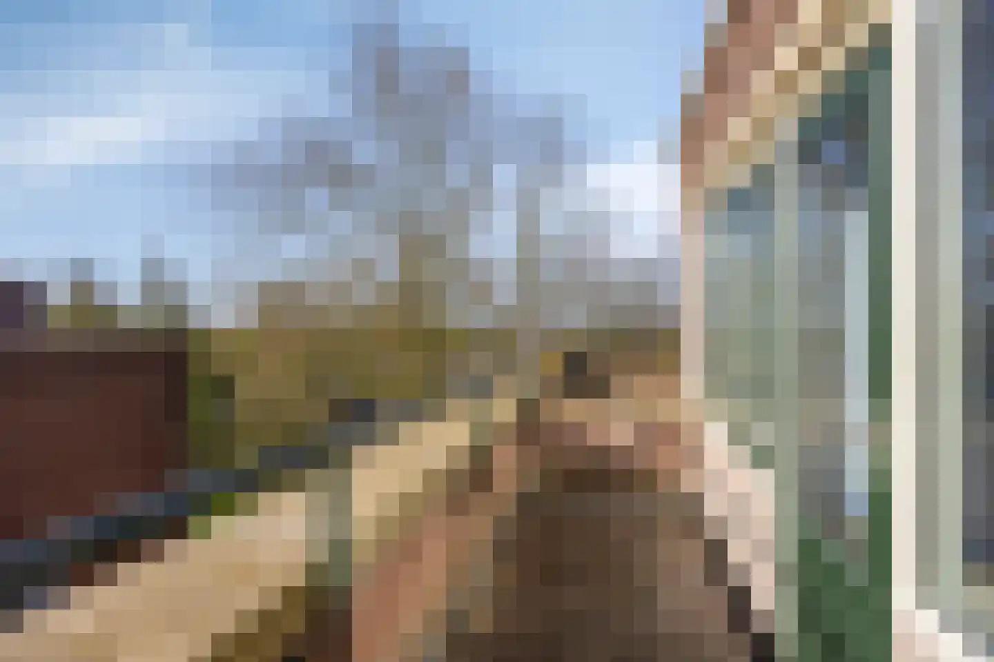 Lokhorst 151 Leiderdorp thumbnail 21